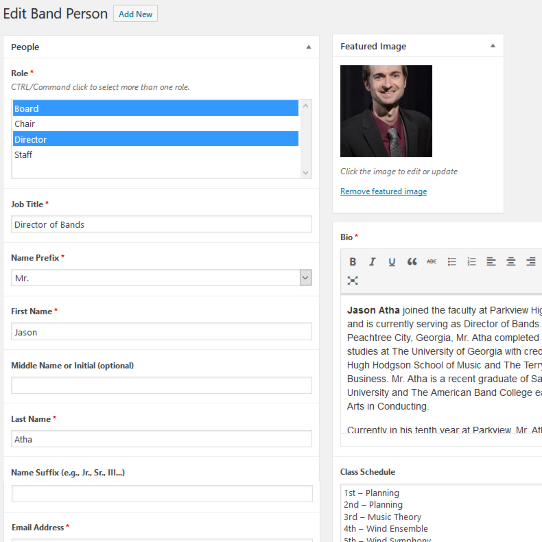 Screenshot of custom WordPress admin interface